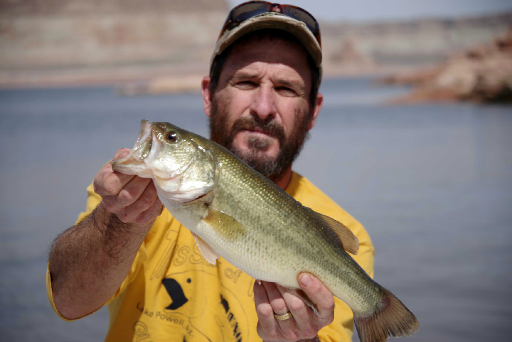 Lake Powell Fishing Report Lake Powell Fishing Guide Service